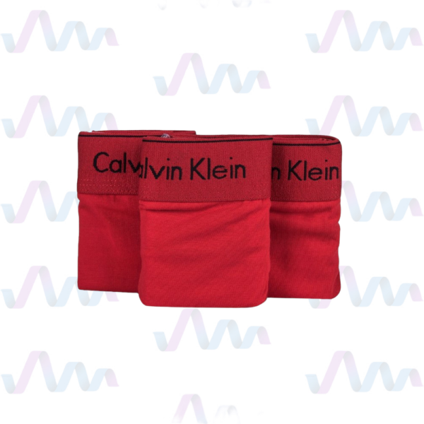 Calvin Klein Slip Damen Rot